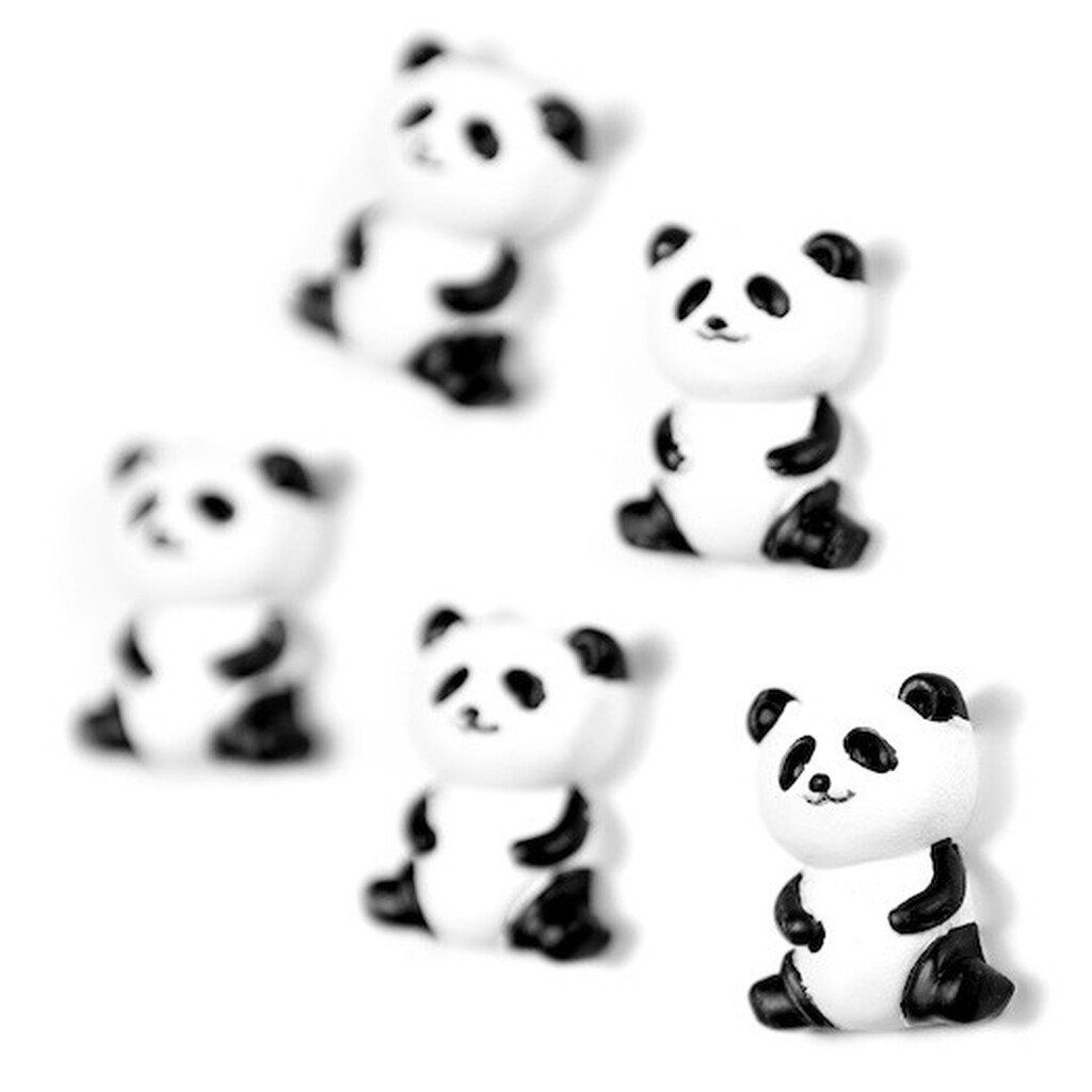 Magnetky na chladničku panda medvedíky 5 ks